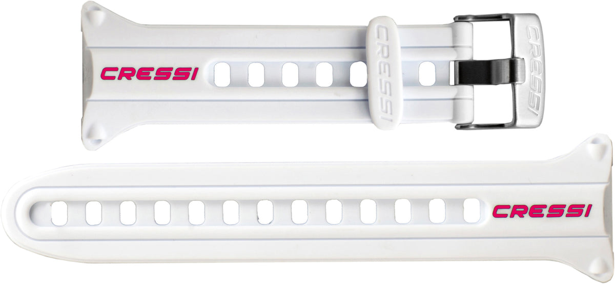 COMPUTER WATCHES WATCHBAND